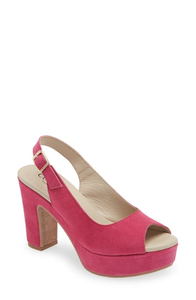 Cordani Tyler Peep Toe Slingback Pump In Fuchsia Suede