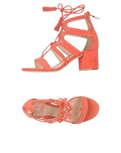 Lerre Sandals In Coral