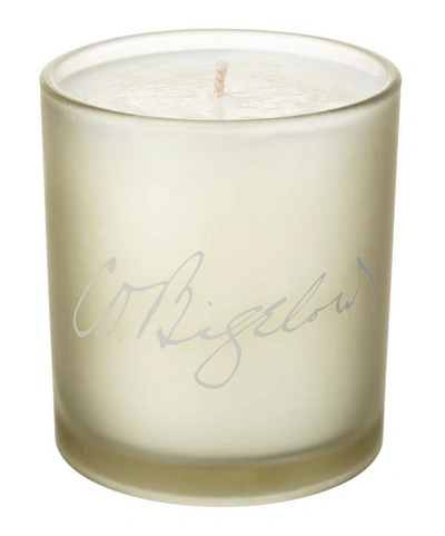 C.o. Bigelow Musk Scented Candle