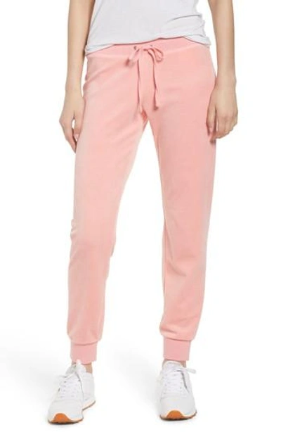 Clothing Juicy Couture Zuma Pants Juicy Couture Zuma Velour Track