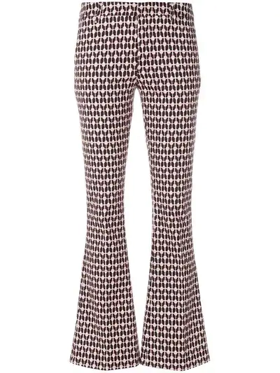 Dondup Printed Flared Trousers In Pink
