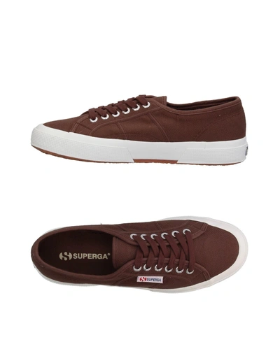 Superga Sneakers In Cocoa