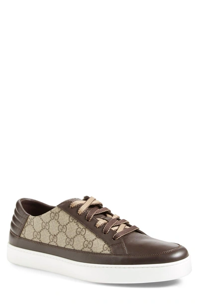 Gucci 'common' Low-top Sneaker In Cocoa Beige Ebony Leather