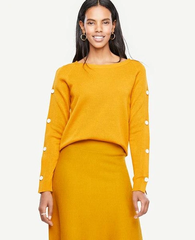 Ann Taylor Button Sleeve Sweater In Golden Maple