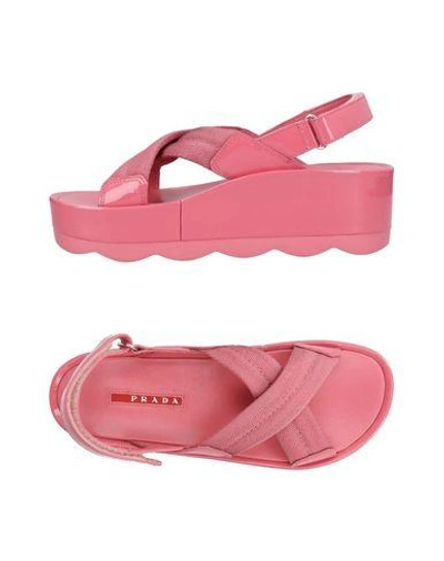Prada Sandals In Pastel Pink