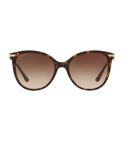 Bvlgari Serpenti Butterfly Sunglasses In Brown Gradient/brown