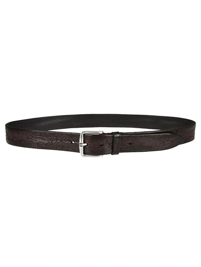 Orciani Floral Perforated Belt In Ebano