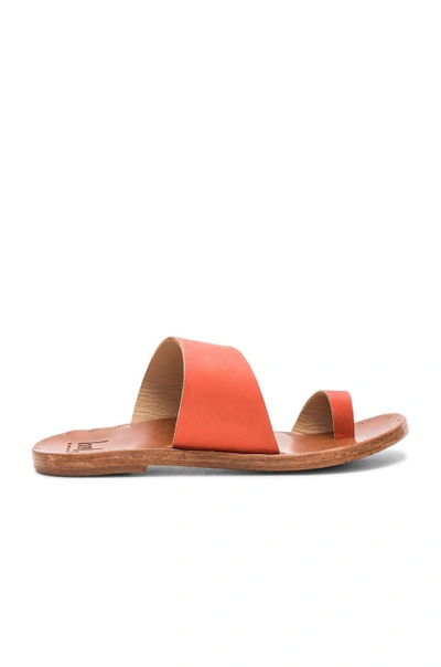Beek Finch Sandal In Orange & Tan