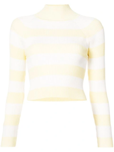 Zimmermann Whitewave Striped Ribbed Top In Yellow