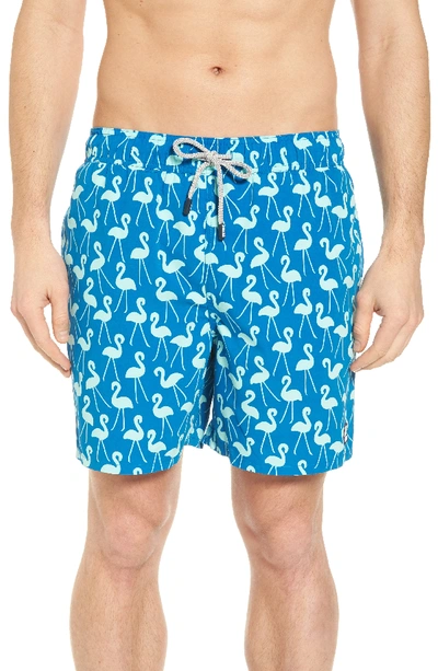 Tom & Teddy Flamingo Print Swim Trunks In Sky Blue