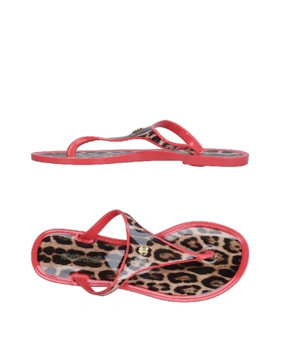 Roberto Cavalli Flip Flops In Salmon Pink