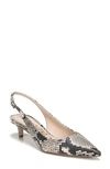 Sam Edelman Ludlow Slingback Pump In Natural Snake Print Leather