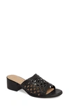Matisse Ditsy Slide Sandal In Black Leather