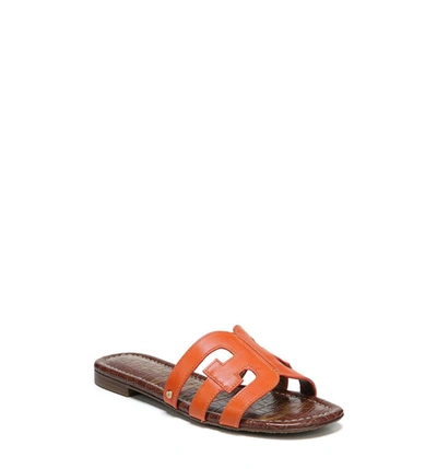 Sam Edelman Bay Cutout Slide Sandal In Tangelo Leather