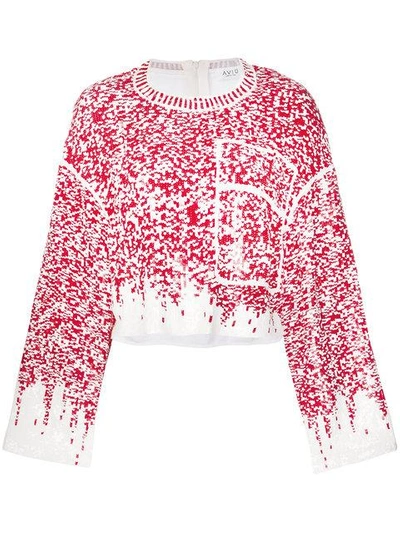 Aviu Sequin Embroidered Jumper In White
