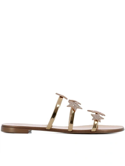 Giuseppe Zanotti Gold Patent Leather Roll 10 Sandals In Pink