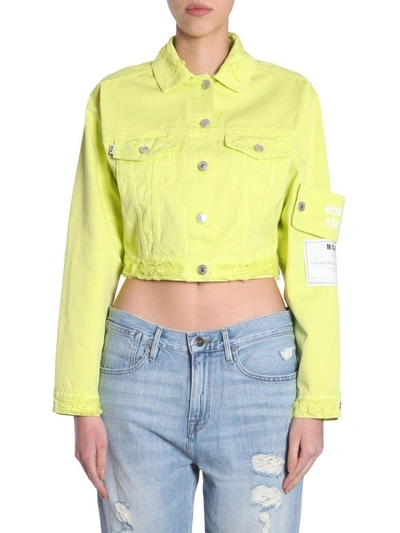 Msgm Cropped Denim Jacket In Giallo