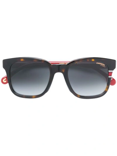 Carrera Square Sunglasses - Brown