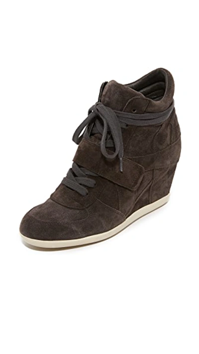 Ash Bowie Wedge Suede Ankle Boots In Bistro