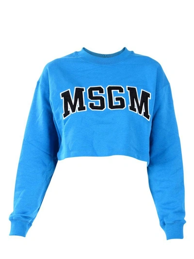 Msgm Sweatshirt In Blue