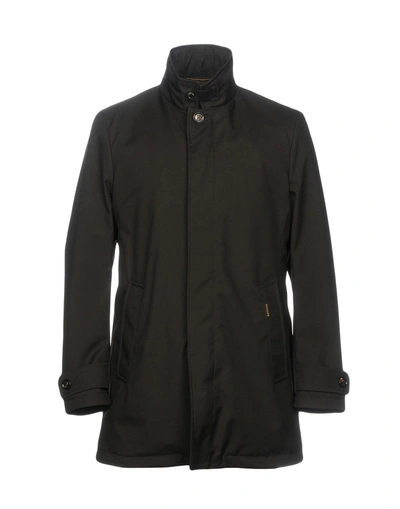 Moorer Coat In Military Green