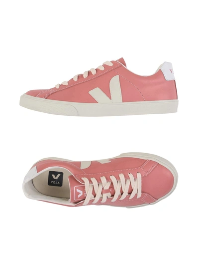 Veja Sneakers In Pink