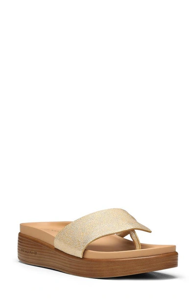 Donald Pliner Fifi Platform Sandal In Platino