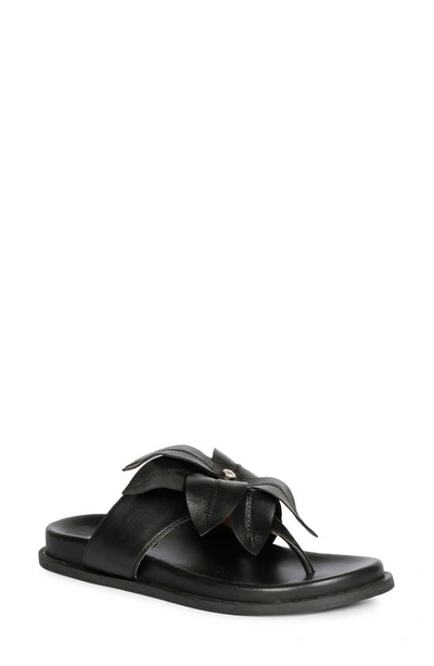 Saint G Claudia Flower Sandal In Black