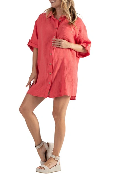 Cache Coeur Bertille Button-up Maternity/nursing Shirtdress In Coral