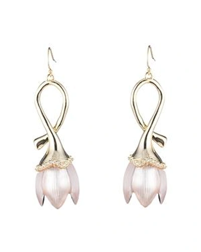 Alexis Bittar Lucite Tulip Drop Earrings In Pink/gold