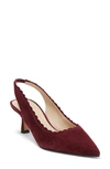 Pelle Moda Kelsa Slingback Pump In Port Wine