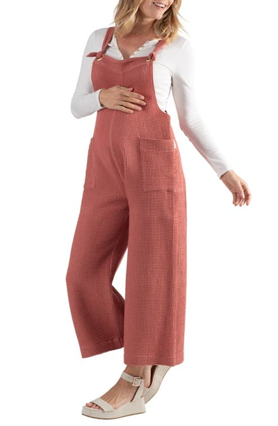 Cache Coeur Maya Organic Cotton Gauze Maternity/nursing Jumpsuit In Terracotta