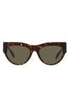 Versace 56mm Cat Eye Sunglasses In Havana