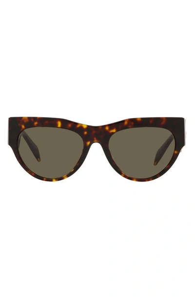Versace 56mm Cat Eye Sunglasses In Havana