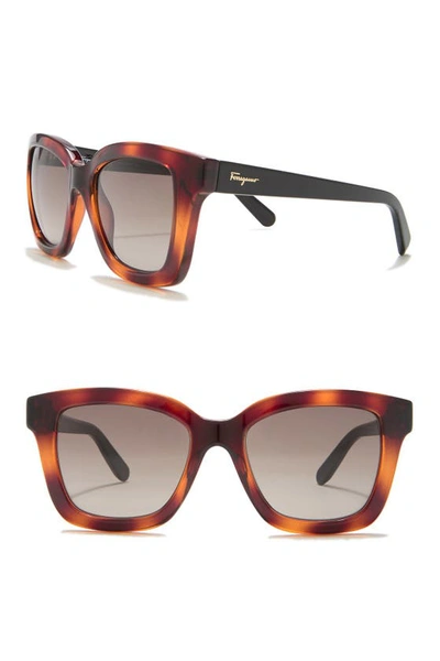 Ferragamo 53mm Square Sunglasses In Tortoise