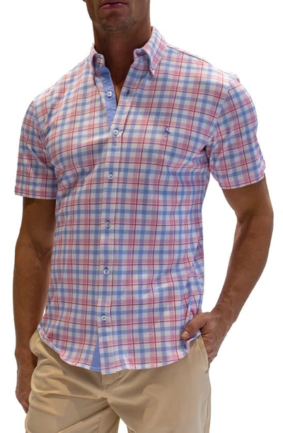 Tailorbyrd Regular Fit Plaid Cotton Short Sleeve Button-down Shirt In Blue