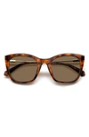 Polaroid 52mm Polarized Cat Eye Sunglasses In Havana/ Bronze Polar