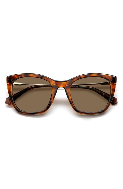 Polaroid 52mm Polarized Cat Eye Sunglasses In Havana/ Bronze Polar