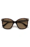 Polaroid 53mm Polarized Square Sunglasses In Havana/ Bronze Polar