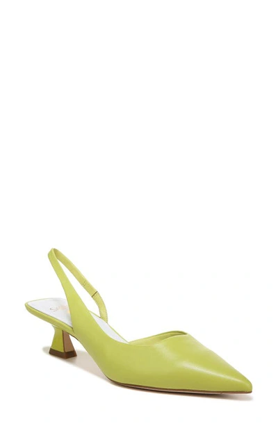 Sarto By Franco Sarto Devin Pointed Toe Slingback Pump In Pear Green