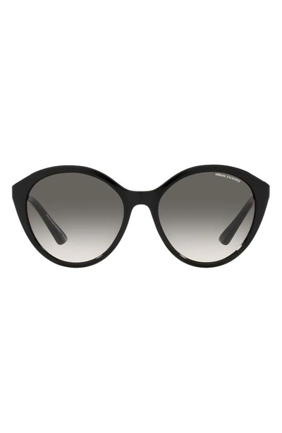 Armani Exchange 55mm Gradient Cat Eye Sunglasses In Shiny Black