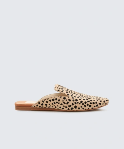 Dolce Vita Brie Flat Mule In Leopard Calf Hair