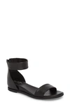 Seychelles Ankle Strap Sandal In Black Leather