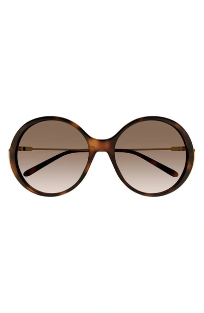 Chloé 58mm Gradient Round Sunglasses In Havana