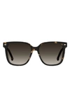 Carrera Eyewear 55mm Rectangular Sunglasses In Havana/ Brown Gradient