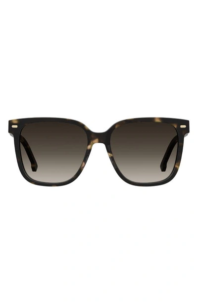 Carrera Eyewear 55mm Rectangular Sunglasses In Havana/ Brown Gradient