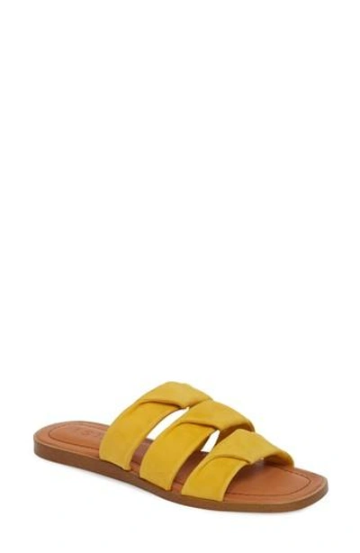 1.state Frel Slide Sandal In Sunshine Nubuck Leather