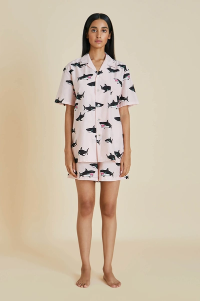 Olivia Von Halle Emeli Attina Cotton silk Pyjama Set ModeSens