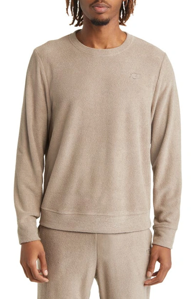 Ugg Coen Brushed Terry Cloth Crewneck Sweatshirt In Wolf Grey