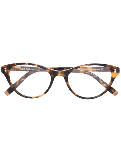 Moscot 'tess' Glasses In Brown